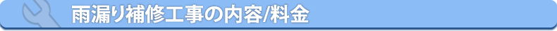 雨漏りねっと・雨漏り調査の内容と料金表